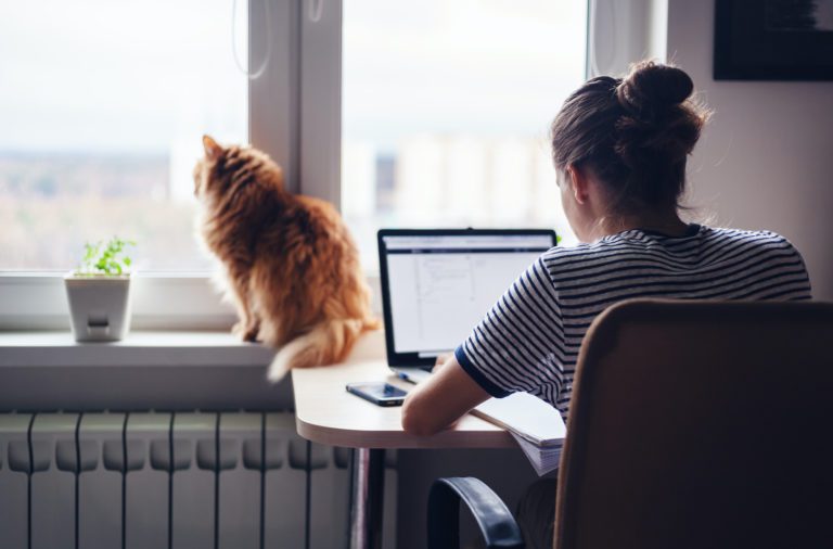 A lady relaxed with her cat sitting by her computer looking at the Overhead Door Company of Huntsville website while reading reviews from other customers